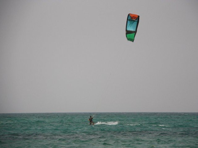Kite 2011-01